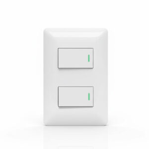 Interruptor doble 9/24 10Amp Want