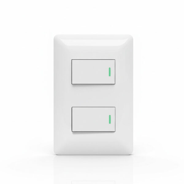 Interruptor doble 9/24 10Amp Want