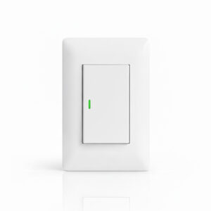 Interruptor simple teclon 9/24 10Amp Want