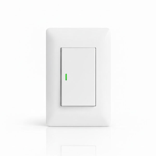 Interruptor simple teclon 9/24 10Amp Want